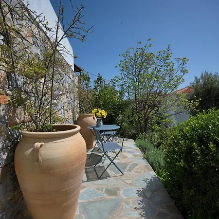 Olive Tree House Vilă