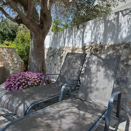 Olive Tree House Alonnisos Town