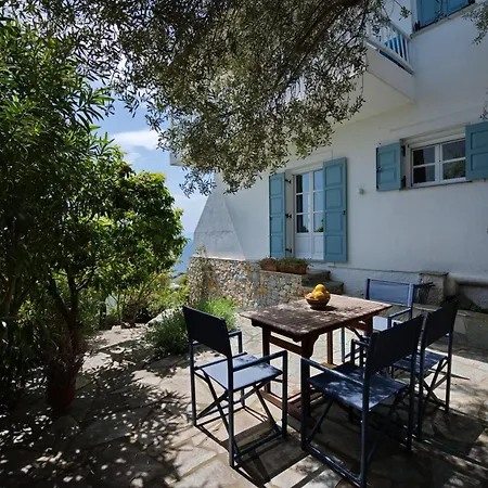 Olive Tree House