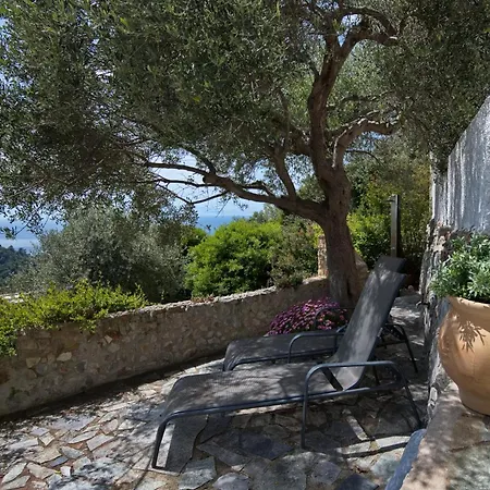 Olive Tree House *